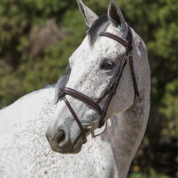 Designer Stitched Mono Crown Piece Snaffle Bridle With Rubber Reins