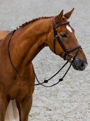 Trust Calgary Combo Noseband Bridle