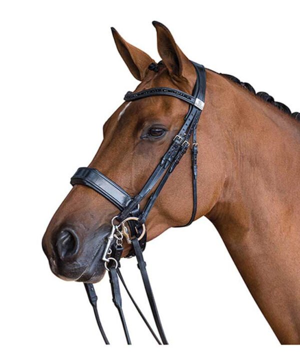 Fairfax Double Cavesson Bridle