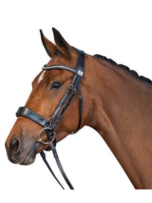 Fairfax Cavesson Snaffle Bridle