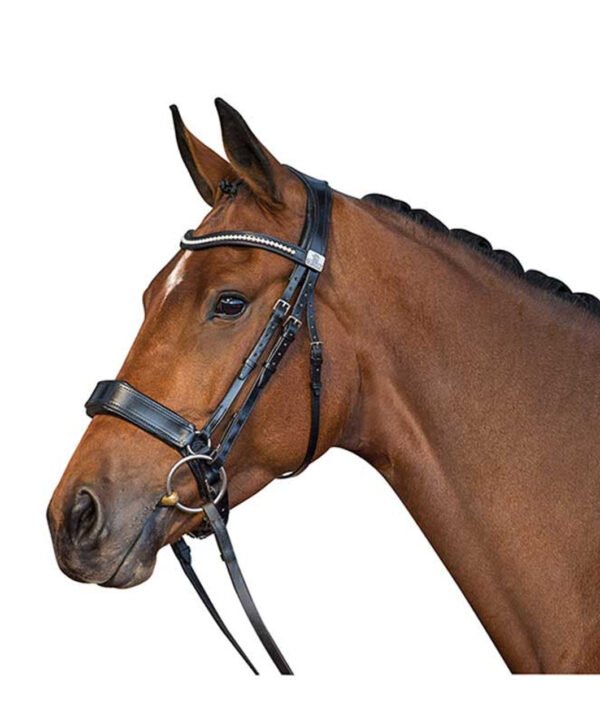 Fairfax Cavesson Snaffle Bridle