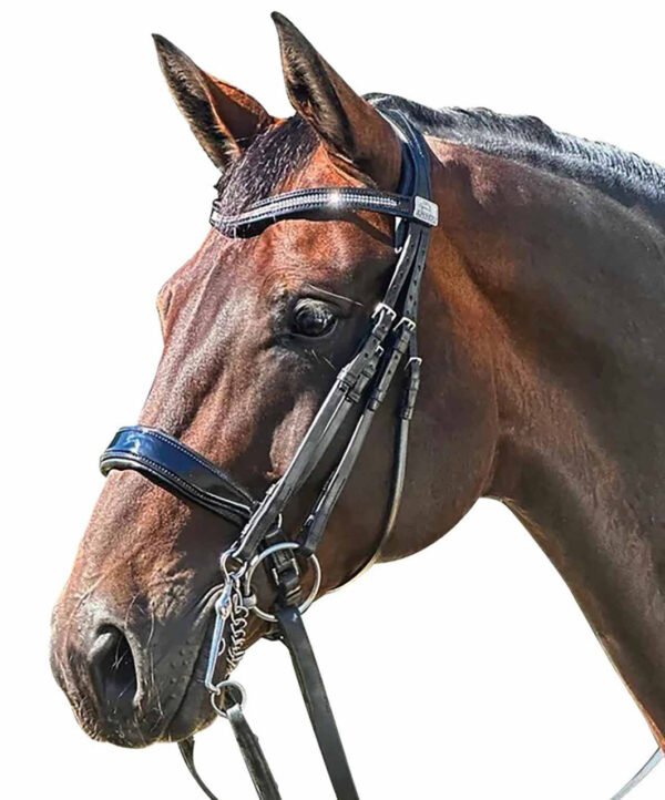 Fairfax Double Patent Cavesson Bridle