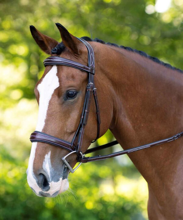 KL Italia Hampton Cavesson Bridle Less Reins