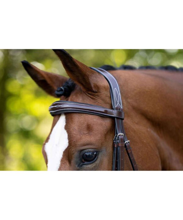 KL Italia Hampton Cavesson Bridle Less Reins - Image 2