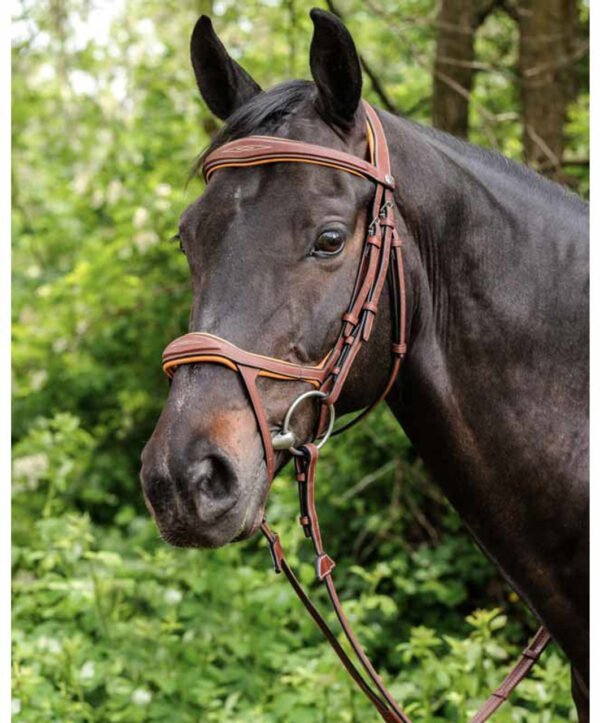 Renaissance E143 Anatomic Double Drop Bridle