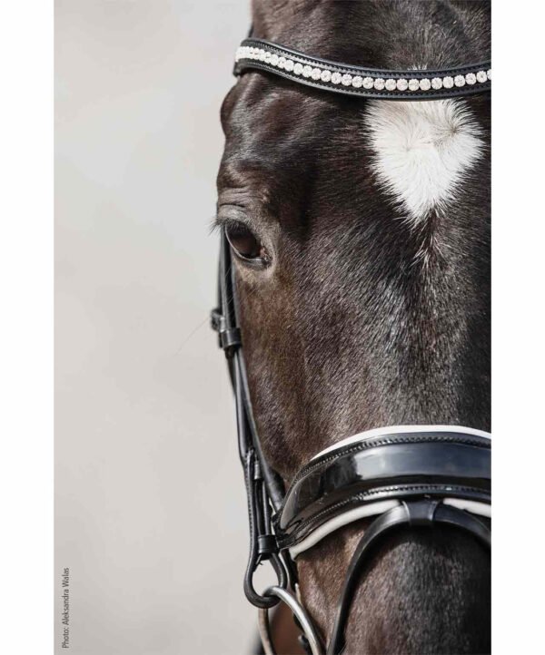 Schockemohle Malibu Anatomic Bridle - Image 2