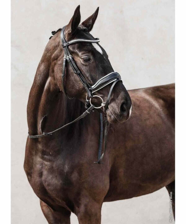 Schockemohle Malibu Anatomic Bridle - Image 3