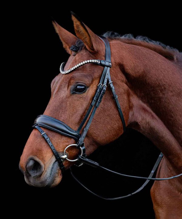 Schockemohle Siena Bridle - Image 3