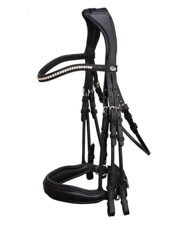 Schockemohle Venice Weymouth Bridle